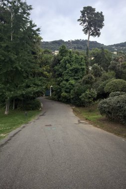 Bulutlu bir günde bir parkın yolu