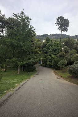 Bulutlu bir günde bir parkın yolu