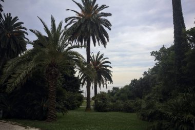 Bulutlu bir günde parkta yollar