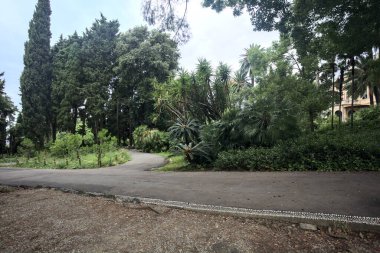 Bulutlu bir günde bir parkın yolu