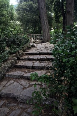 Parktaki taş patika