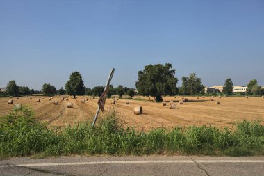 Balyaları ve ağaçları olan bir arazi.