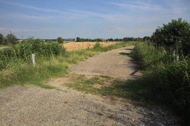 İtalya kırsalında yıpranmış bir yol