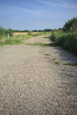 İtalya kırsalında yıpranmış bir yol