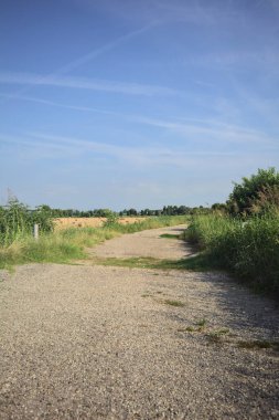 İtalya kırsalında yıpranmış bir yol