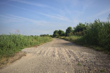 Bir yaz gününde asfalt patika