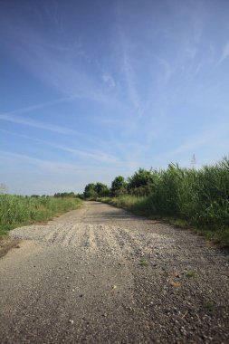 Bir yaz gününde asfalt patika