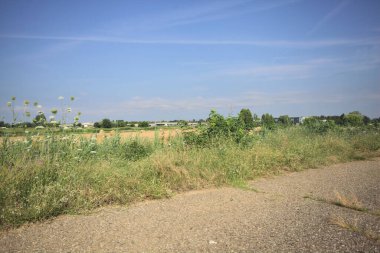 Biçilmiş alan ve asfalt izi