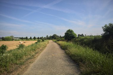 Biçilmiş alan ve asfalt izi