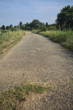 Bir yaz gününde asfalt patika