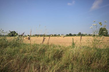 Uzaktan görünen balyalarla dolu bir alan