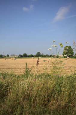 Uzaktan görünen balyalarla dolu bir alan