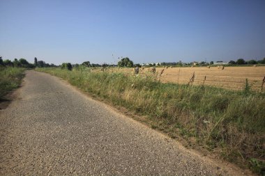 Biçilmiş alan ve asfalt izi