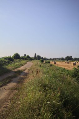 Biçilmiş alan ve asfalt izi