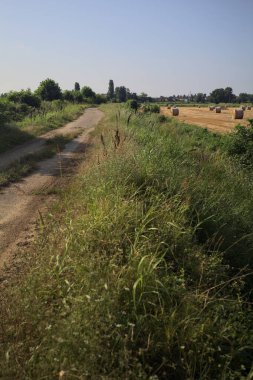 Biçilmiş alan ve asfalt izi