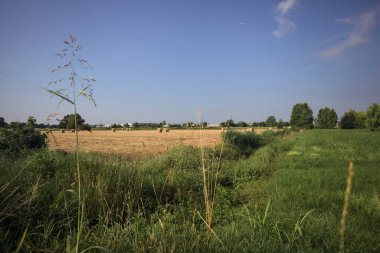 Uzaktan görünen balyalarla dolu bir alan