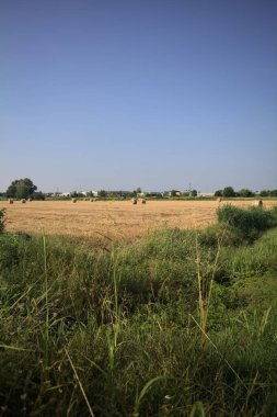 Uzaktan görünen balyalarla dolu bir alan