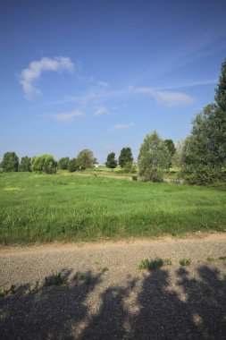 Yolun yanındaki çim tarlası.