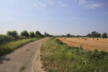 Biçilmiş alan ve asfalt izi