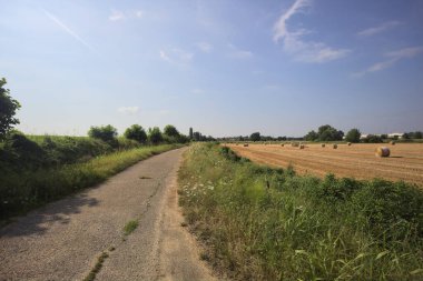 Biçilmiş alan ve asfalt izi