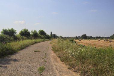 Biçilmiş alan ve asfalt izi