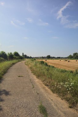 Biçilmiş alan ve asfalt izi