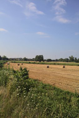 Uzaktan görünen balyalarla dolu bir alan