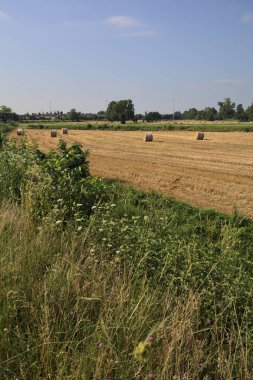 Uzaktan görünen balyalarla dolu bir alan