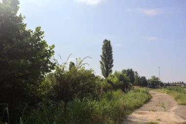 İtalya kırsalında patika ve yol