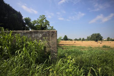 Balyalarla ve ağaçlarla biçilmiş tarla