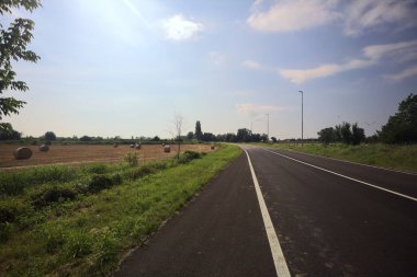 Tarlalar arasındaki köy yolu