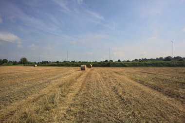 Bir yolun yanında biçilmiş bir tarla