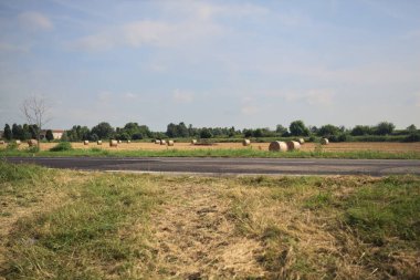 Balyaları ve ağaçları olan bir arazi.