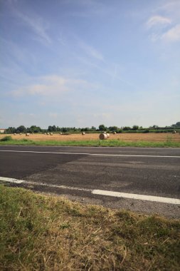 Balyaları ve ağaçları olan bir arazi.