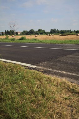 Balyaları ve ağaçları olan bir arazi.