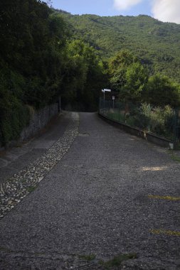 Yokuşta Paved Caddesi