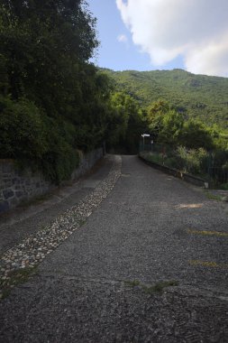 Yokuşta Paved Caddesi