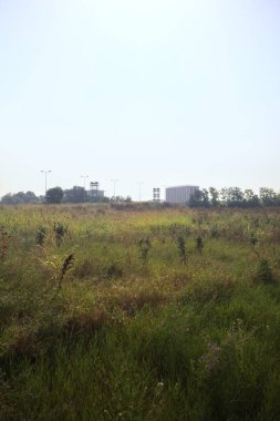 Uzakta binalar olan bir arazi.