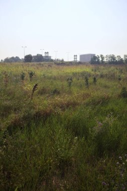 Uzakta binalar olan bir arazi.