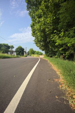Kırsal kesişen yollarda