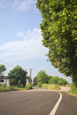 Kırsal kesişen yollarda