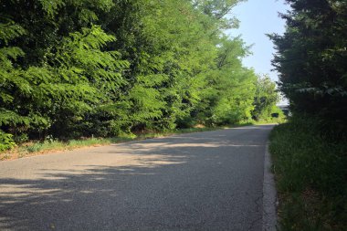 İtalya kırsalında dar bir yol