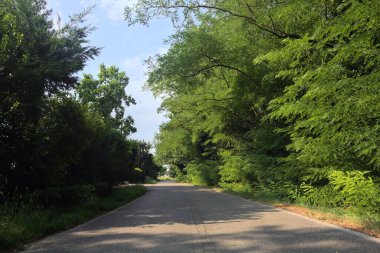 İtalya kırsalında dar bir yol