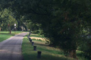 Göl kıyısında yol