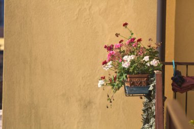 Balkonda asılı vazo