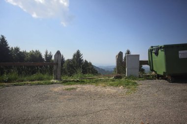 Bir dağ yamacındaki çam koruluğu