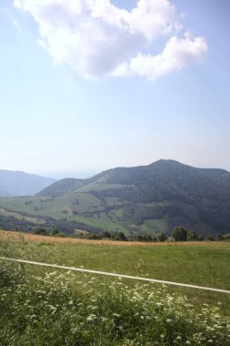 Bir dağ yamacındaki tarla