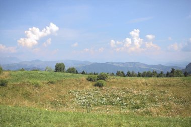 Bir dağ yamacındaki tarla