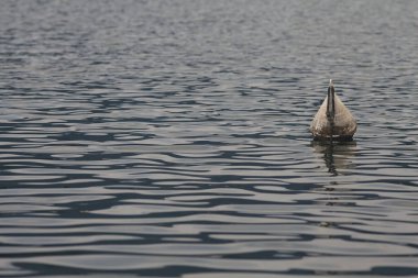 Göldeki Bouy