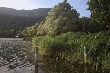 Gün batımında bir parkta Lakeshore